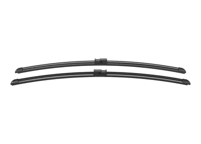 Escova Bosch A 079 S