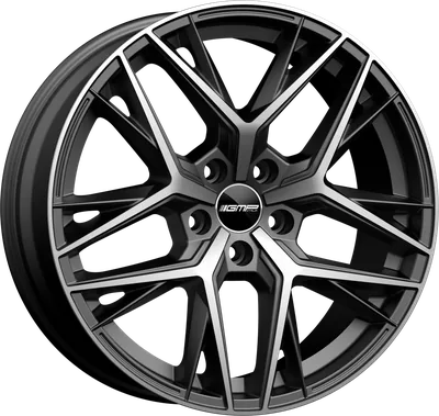 GMP LUNICA